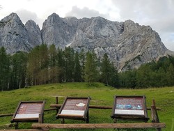 Prisank view