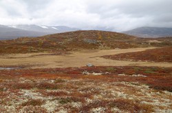 Langhaugen