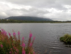 Prestvannet