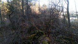 Lilleøytoppen