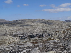 Skorpa