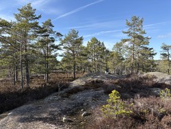 Husefjell