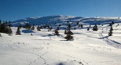 Smørlifjellet