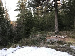 Slattumsrøa