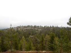 Flatkollen