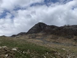 Lintjørnnuten