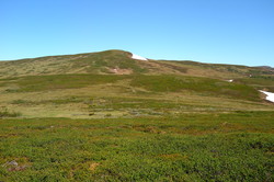 Storsvenuken