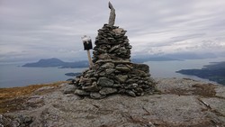 Kjellasviknuten
