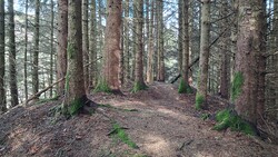 Skavåsen