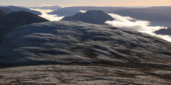 Kvitkuven
