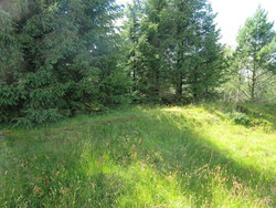 Høgehjellane