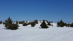 Lunkefjell V1