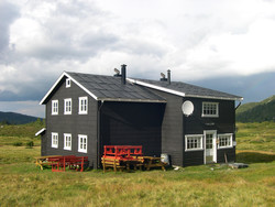 Hollane