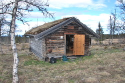 Moslettbua