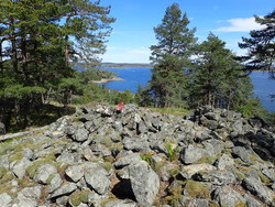 Søndre Årøy