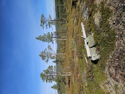 Olemsåsen