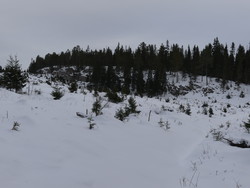 Sørøst for Skjeråsen