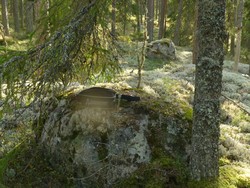 Engeråsen