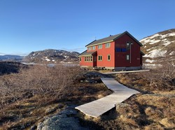 Taumevatn