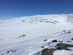 Langvasseggi