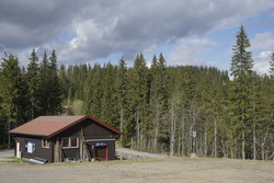 Damhaugen