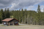 Damhaugen