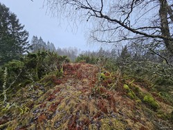 Åsen