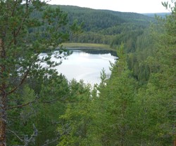 Balterudåsen Nordøstre