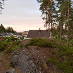 Nesåsen