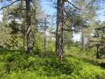 Storås
