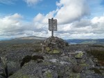 Skagsvola