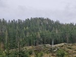 Nordjordåsen