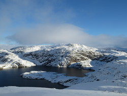 Sødalseggene