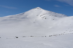 Storbekkhøa