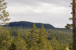 Ingridsberget