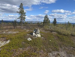 Finnoaivi