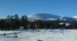 Brennhø