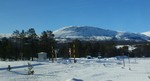 Brennhø
