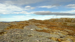 Søre Pessarheia