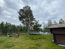 Cape Kvam
