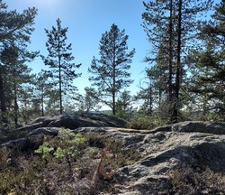Skinnesfjellet Sør