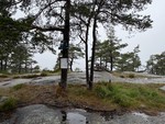 Gråmannen