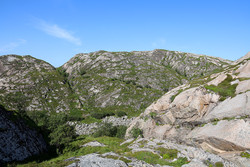 Rommersheia