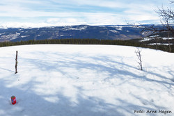 Skorstulhøgda