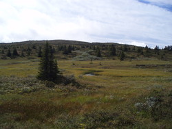 Veslefjellet