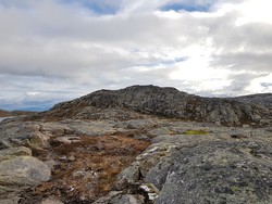 Kjerfjordhøgda Øst