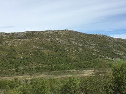 Hesthøe