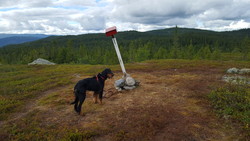 Skinnerlifjellet