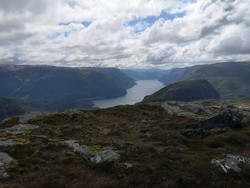 Vassahaugen