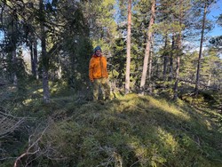 Grenneåsen